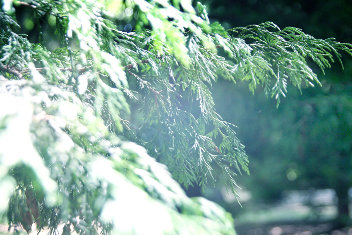 n02.jpg
